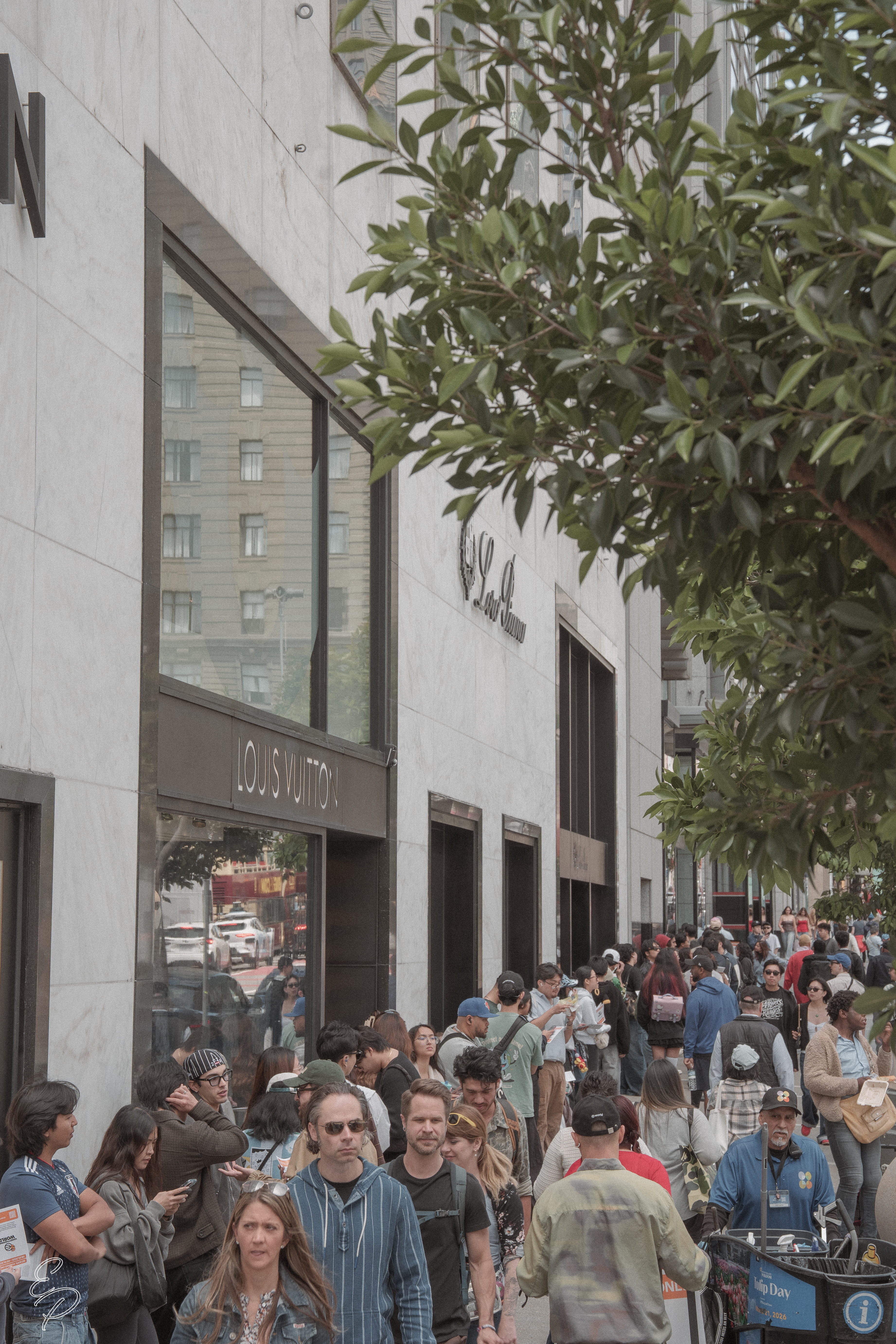 VANDYTHEPINK SF Pop-Up